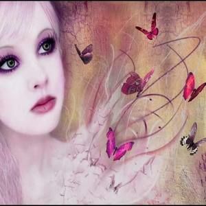 Meet your Posher, America